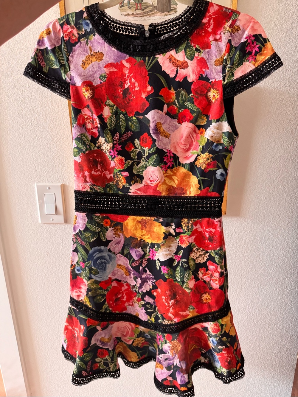 Alice + Olivia Black Floral Mini Dress with Red, Pink and Yellow Flowers